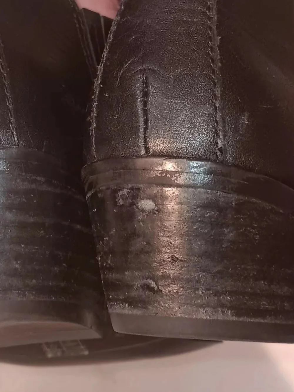 Women's Coach Ankle Boots
